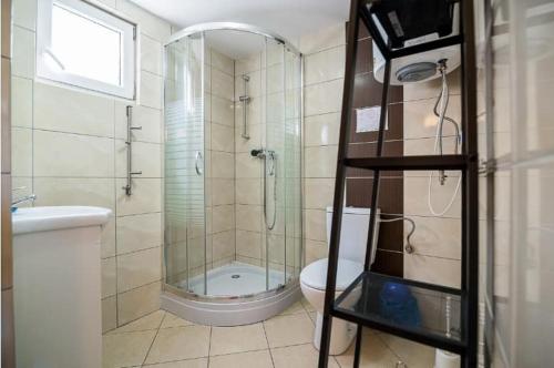 a bathroom with a shower and a toilet and a sink at Baltic Holiday in Dębki