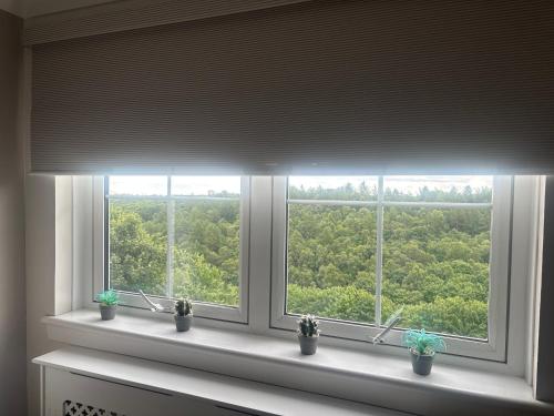 a window with potted plants on a white window sill at Firbank House in Glenrothes