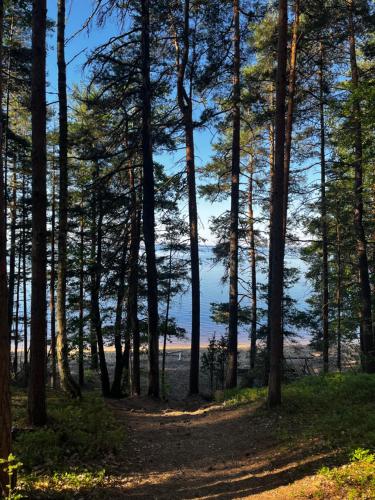 a view of the ocean through the trees at KoloCabins - Huuhanranta 5 in Ruokolahti