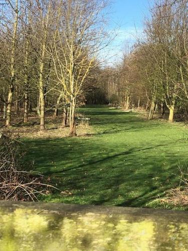a field of green grass with trees in the background at Luxury Barn with sauna near York welcoming families, friends, groups in York