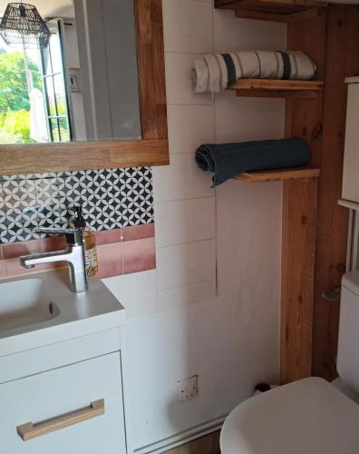 a small bathroom with a sink and a toilet at Cocooning et plages in Capbreton
