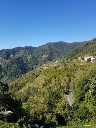 auliculiculiculiculiculiculiculiculiculiculiculiculiculiculic at Menta Cinque Terre in Vernazza
