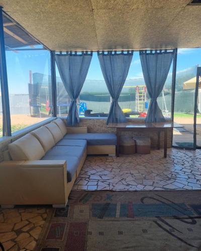 Памела Андерсон секс видео онлайн Ішінде спермы бар порно