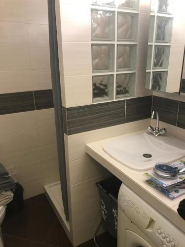une salle de bain avec un lavabo et une douche dans l'établissement Charmant Studio proche du Centre-Ville, à Nice