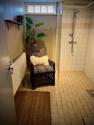 a bathroom with a chair and a shower with a plant at Smedjebackens Pensionat in Smedjebacken