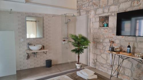 a bathroom with a shower with a plant in it at Old Stone Holiday Home in Rovinj