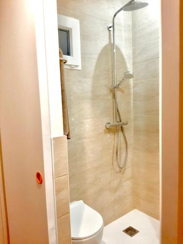 une salle de bain avec douche et toilettes dans l'établissement Charmant studio rue piétonne, à Thonon-les-Bains