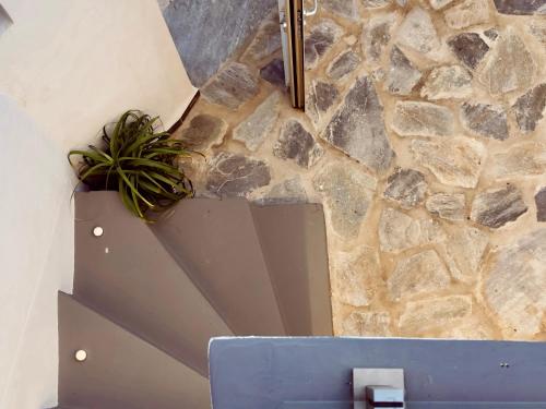 Φωτογραφία από το άλμπουμ του Kefi House Skiathos στη Σκιάθο Πόλη