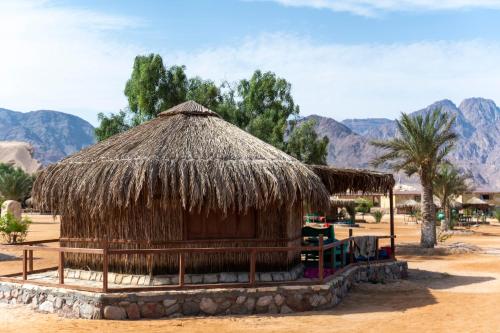 Naturlandskabet i nærheden af lodgen
