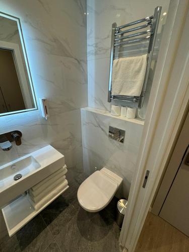 a bathroom with a toilet and a sink and a mirror at Victoria Studios in London