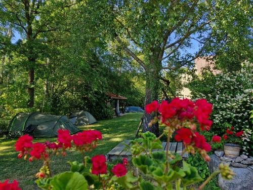 a group of red flowers in a yard with a tent at Piibelehe Guest Accommodation in Kuressaare