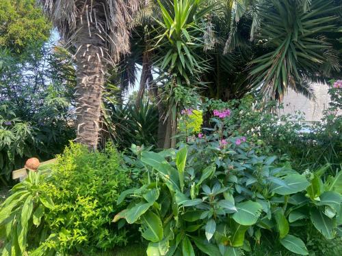 Gallery image of Les Studios de la Côte Roz - Voyageur Solo - Jardin Partagé in Perros-Guirec