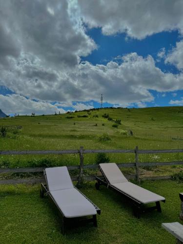two beds sitting on the grass in front of a field at Guest House SARA in Žabljak