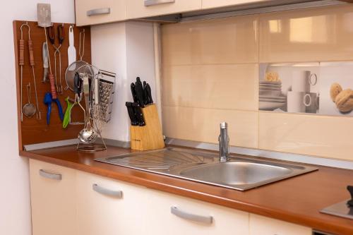 a kitchen with a sink and a counter at Walter Home Bușteni with Private Terrace in Buşteni