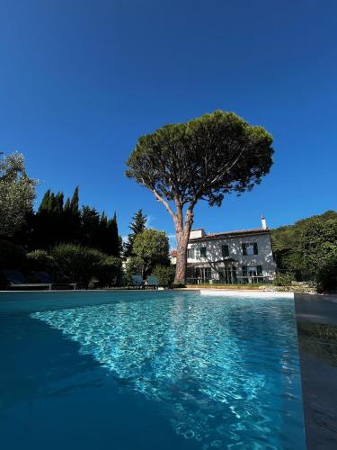 a pool with a tree and a house in the background at Villavos- Le Bocage in Cassis