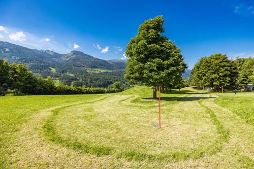 a tree in a field with a winding road at Residence Des Alpes in Cavalese
