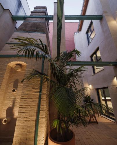 Terra Triana Apartments photo 49