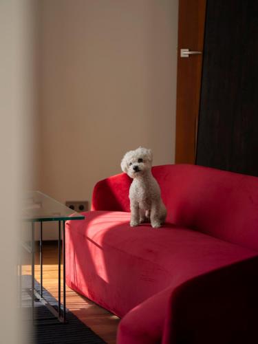 a white teddy bear sitting on a red chair at Hotel Monopol in Wrocław