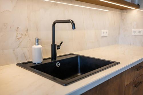 a kitchen sink with a soap dispenser on a counter at Family apartment hosted by LL in Akureyri