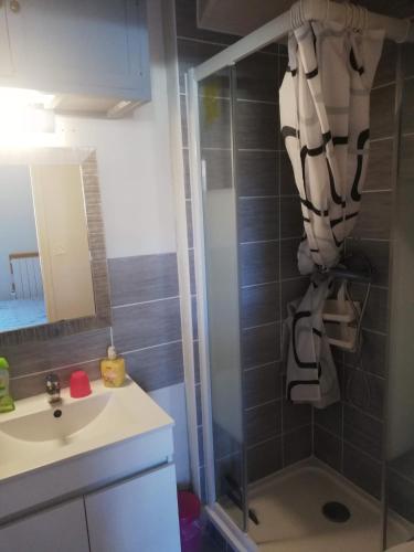 une salle de bain avec une douche, un lavabo et un miroir dans l'établissement Courseulla, à Courseulles-sur-Mer