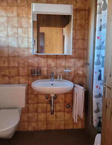 a bathroom with a sink and a toilet and a mirror at Resort Al Centro in Breganzona