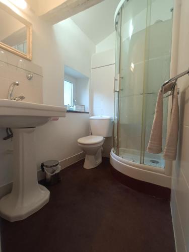 a bathroom with a sink and a toilet and a shower at Chambres d'hôtes Le Patio d'Alain et Véronique Lunéville in Lunéville