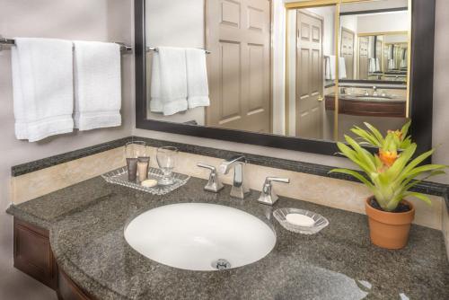 a bathroom with a sink and a large mirror at Ayres Hotel Laguna Woods - Aliso Viejo in Laguna Woods