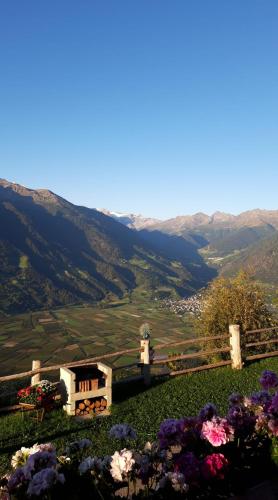 a view of a valley with flowers on a hill at Untertelshof in Lasa