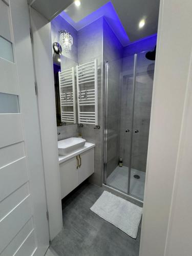 Ένα μπάνιο στο Apartments MERLIN -ANTRESOLA przy Starówce