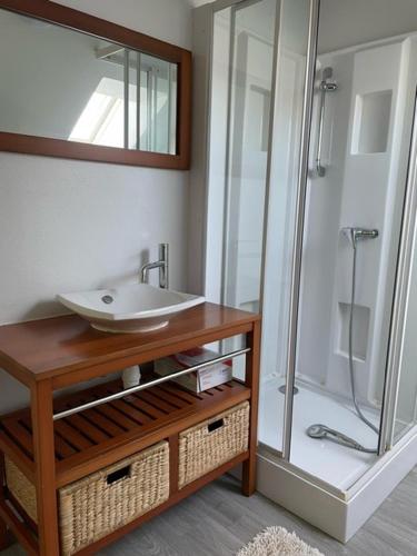 une salle de bain avec un lavabo et une douche dans l'établissement Gite Amandine, à Gouville-sur-Mer