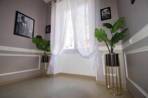 two vases with plants in front of a window at Hôtel Parisien in Nice