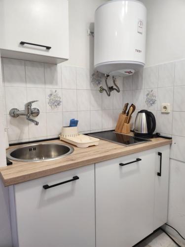 Η κουζίνα ή μικρή κουζίνα στο Secret Garden Studio Apartman
