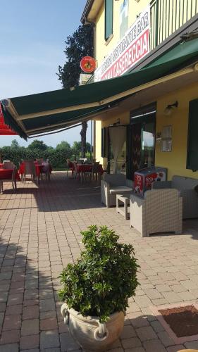 a patio of a restaurant with a plant in a pot at Albergo quatro pini in Pozzolengo
