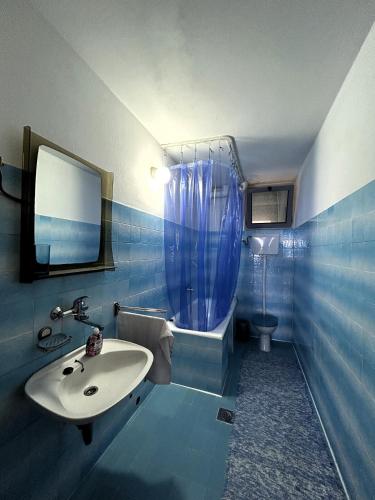 a bathroom with a sink and a shower and a toilet at Apartments Olga in Ulcinj