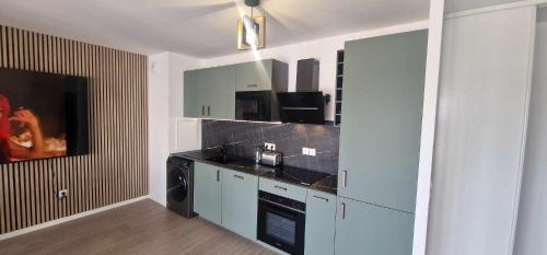 une cuisine avec un évier et un lave-vaisselle dans l'établissement Bonapparte 402, à Blois