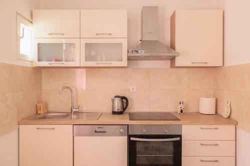 Η κουζίνα ή μικρή κουζίνα στο Apartmani IVO Živogošće