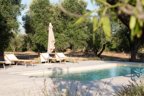 Πισίνα στο ή κοντά στο Trullo fiorone with private pool