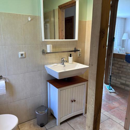 a bathroom with a sink and a mirror at Landhäuschen Danneborth in Danneborth