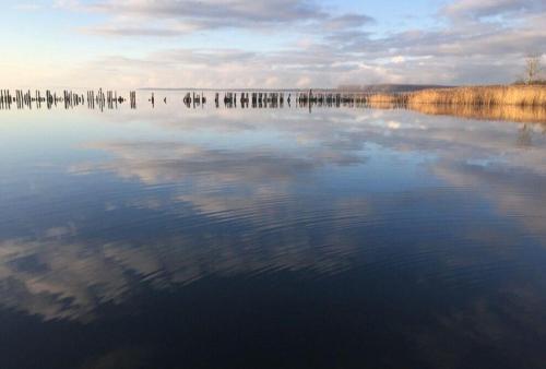 a large body of water with birds on it at Ferienhaus-Fiete-2 in Sagard