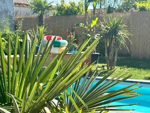Der Swimmingpool an oder in der Nähe von le pourCoi paS