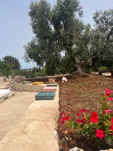 a garden with red flowers and a tree at VILLA DOMINIQUE relax a pochi kilometri dal mare in Carovigno