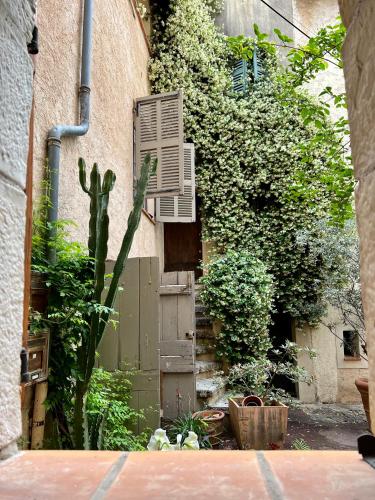 an outside view of a garden with a building at La maison Bohème in Le Cannet