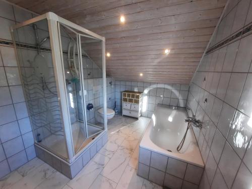 Un baño con ducha, bañera y WC. en Fewo Tanja's Blumenparadies, en Hollfeld