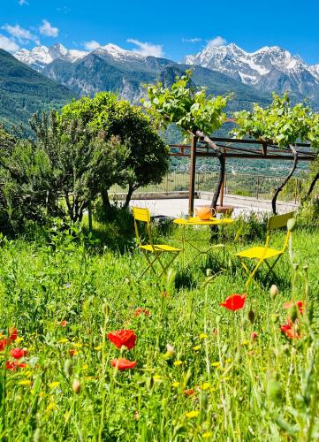 two chairs and a table in a field of flowers at La Vrille - Metcho in Verrayes