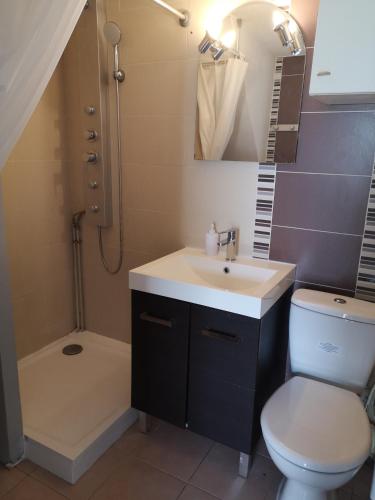 une salle de bain avec un lavabo, des toilettes et une douche dans l'établissement Vacances à Vic avec piscine collective, à Vic-la-Gardiole