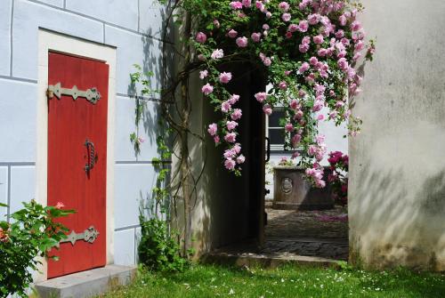 a door with pink flowers and a red door at Schloss Hofstetten Ingerle-Klause in Hofstetten