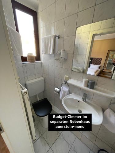 a bathroom with a sink and a toilet and a mirror at AUERSTEIN-Hotels auerstein & auerstein-mono in Heidelberg