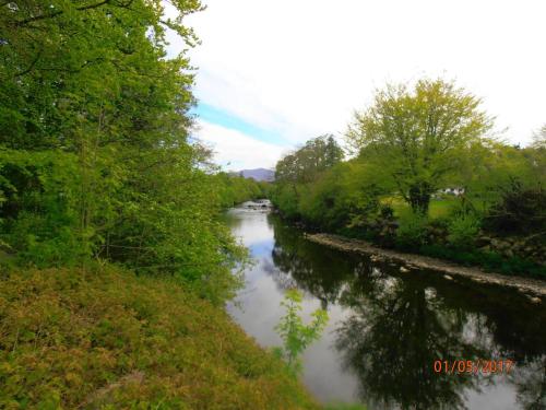a river with trees on the side of it at Kiln lodge in Killarney