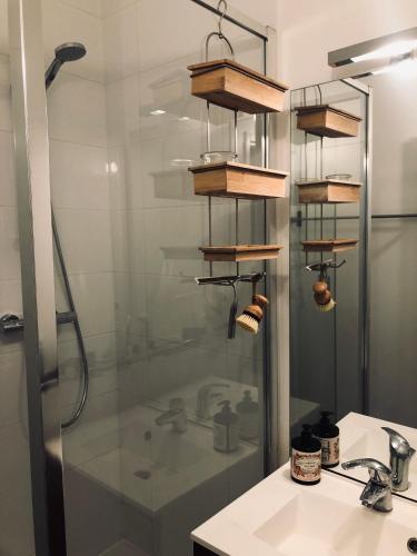 une salle de bain avec douche et lavabo dans l'établissement Petit appartement douillet, centre historique de Dijon, à Dijon