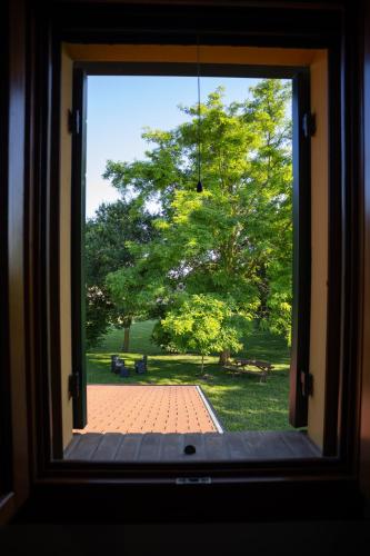 a window looking out at a park with a tree at Agriturismo Zennare in Chioggia